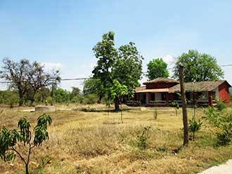 Tala Camp, Bandhavgarh 3